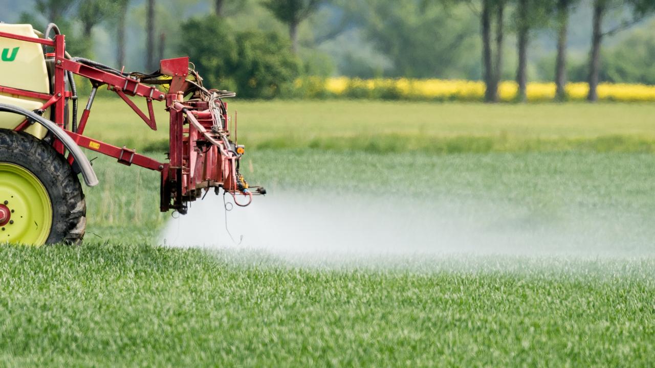 La Suisse continue d'exporter des pesticides interdits, dénonce l'ONG Public Eye [Keystone - Patrick Pleul]