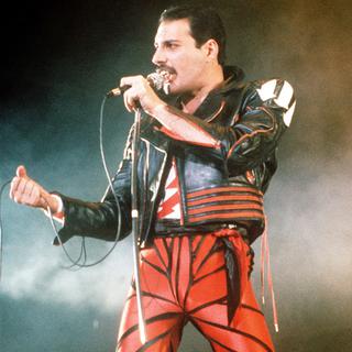 Le 24 novembre 1991, Freddie Mercury disparaît à l'âge de 45 ans. [Keystone/AP Photo - Gill Allen]