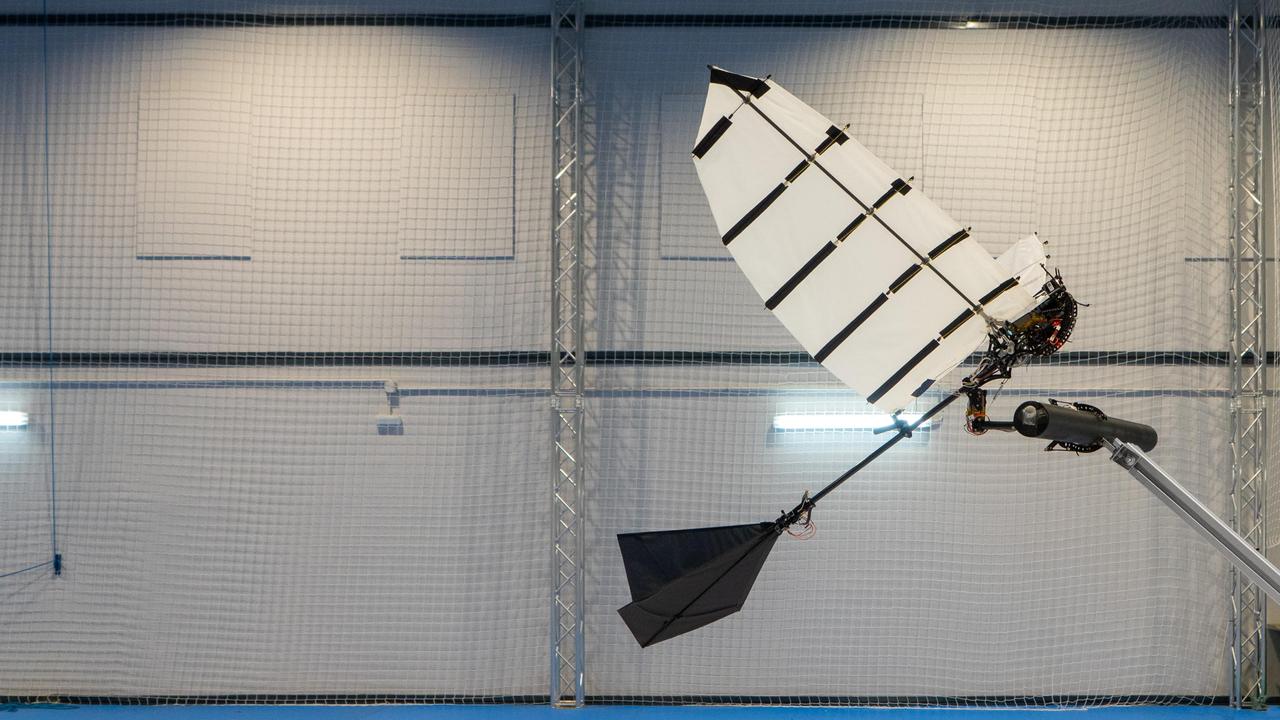 Un robot ailé conçu à l'EPFL. [EPFL - Raphael Zufferey]