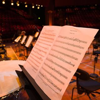 Concert symphonique avec l'Orchestre National de France. [AFP - Frédéric Scheiber/ Hans Lucas]