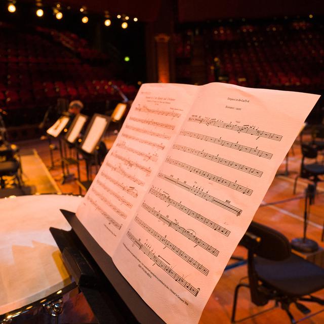 Concert symphonique avec l'Orchestre National de France. [AFP - Frédéric Scheiber/ Hans Lucas]