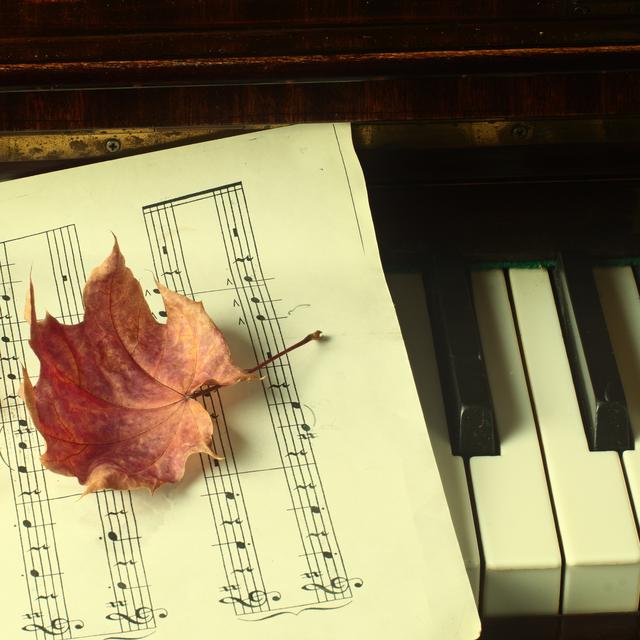 Piano en automne, feuilles. [Depositphotos - vladz_2009]