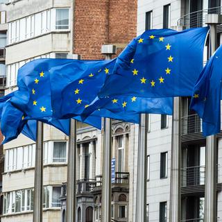 Des drapeaux européens à Bruxelles. [Keystone - AP Photo/Geert Vanden Wijngaert]