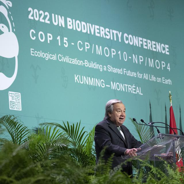 Le secfrétaire général de l'ONU Antonio Guterres à l'ouverture officielle de la COP15 sur la biodiversité à Montréal, 06.12.2022. [The Canadian Press/AP/Keystone - Paul Chiasson]