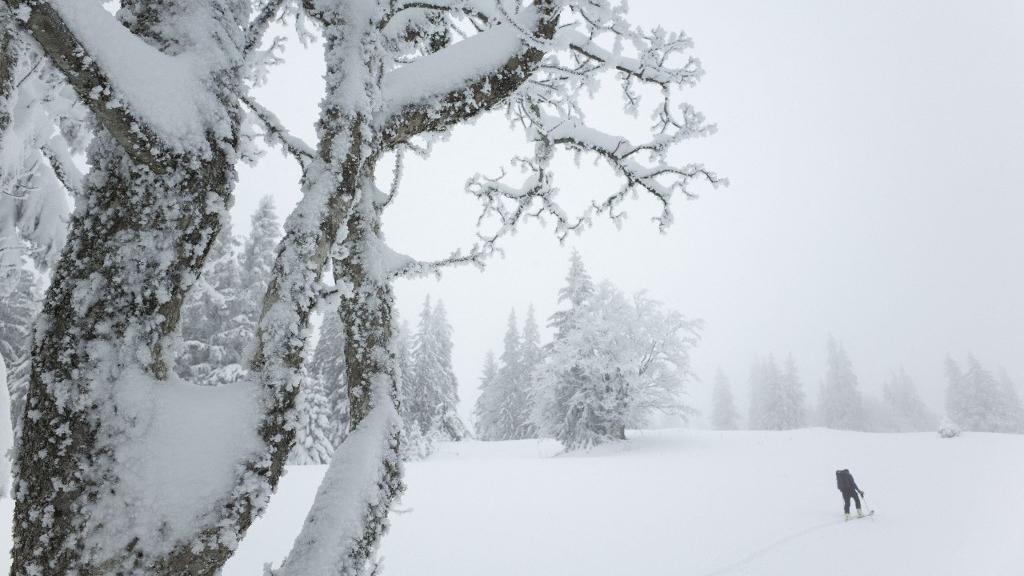 En altitude, le front froid entraîné par la tempête qui a traversé la Suisse devrait apporter une assez forte quantité de neige, selon Meteosuisse. (image d'illustration) [afp - Heintz Jean]