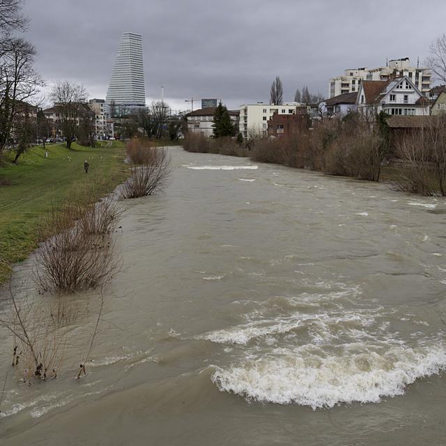 Une dizaine de sites suisses ont été étudiés le long de la Birse. [Keystone - Georgios Kefalas]