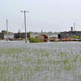 L'inondation au Pakistan en septembre 2022. [AP/Keystone - Zahid Hussain]