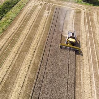 Un agriculteur moissonne a l' aide de sa machine agricole moissonneuse batteuse un champ de blé, ce mardi 20 juillet 2021 à Laconnex près de Genève. [Keystone - Salvatore Di Nolfi]