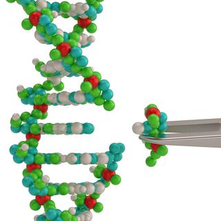 Crispr est un outil génétique dont la découverte a été récompensée en 2020 par le Nobel de chimie
holmessu
Depositphotos [holmessu]