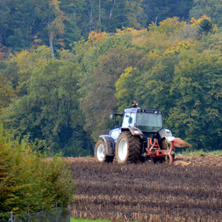 La situation en Ukraine pèse de plus en plus sur l'agriculture en Suisse. [RTS - Gaël Klein]