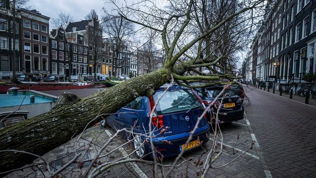 Des voitures écrasées par un arbre à Amsterdam. [Keystone - EPA/Remko de Waal]