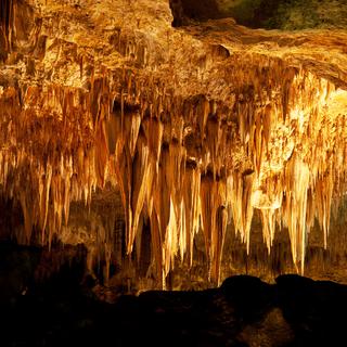 Des stalactites dans une grotte.
kamchatka
Depositphotos [kamchatka]