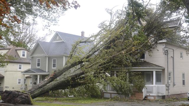 Un arbre est tombé sur une maison durant le passage de la tempête Fiona au Canada. [Keystone - Vaughan Merchant /The Canadian Press via AP]