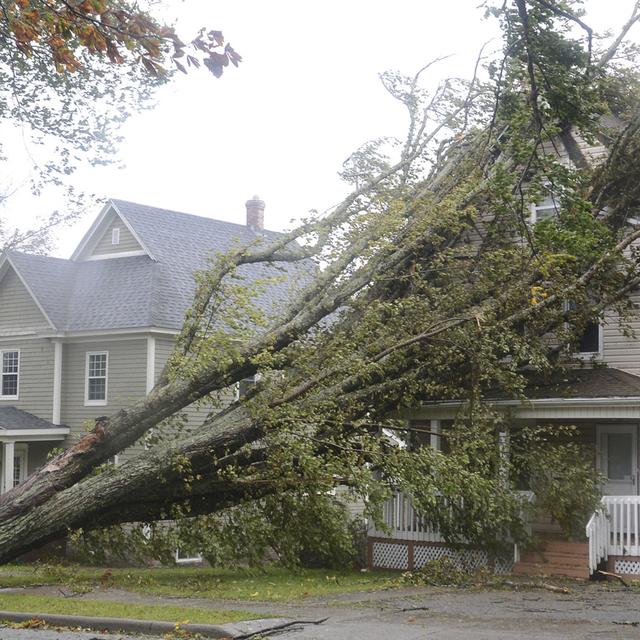 Un arbre est tombé sur une maison durant le passage de la tempête Fiona au Canada. [Keystone - Vaughan Merchant /The Canadian Press via AP]