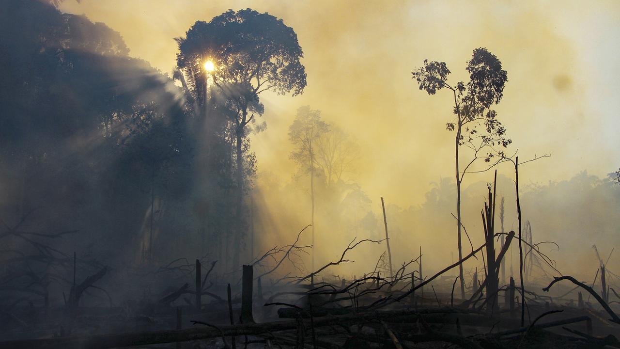 Plus de 24'000 feux ont été enregistrés en Amazonie depuis début août 2022. [AP/Keystone - Edmar Barros]