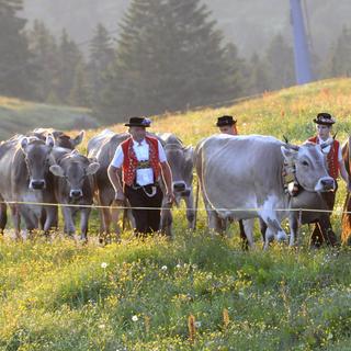 Une inalpe (montée à l'alpage) dans la région du Toggenburg (SG). [Keystone - Regina Kuehne]