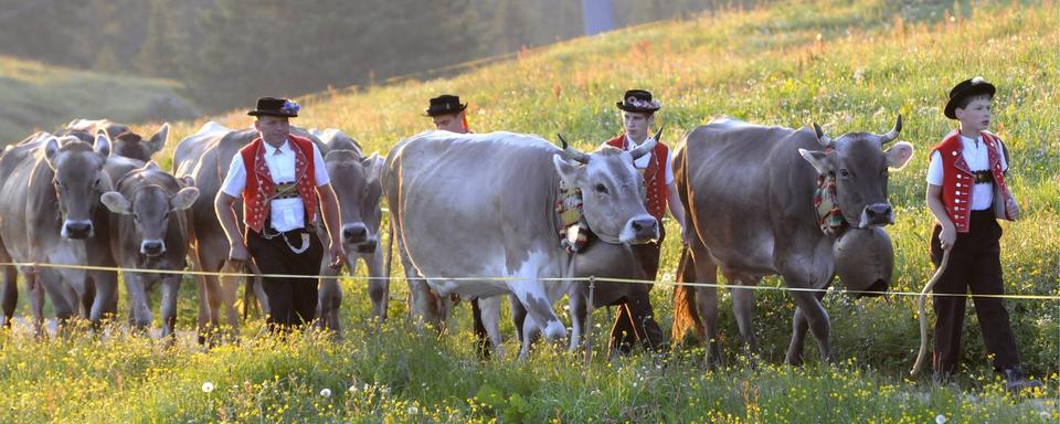 Une inalpe (montée à l'alpage) dans la région du Toggenburg (SG). [Keystone - Regina Kuehne]