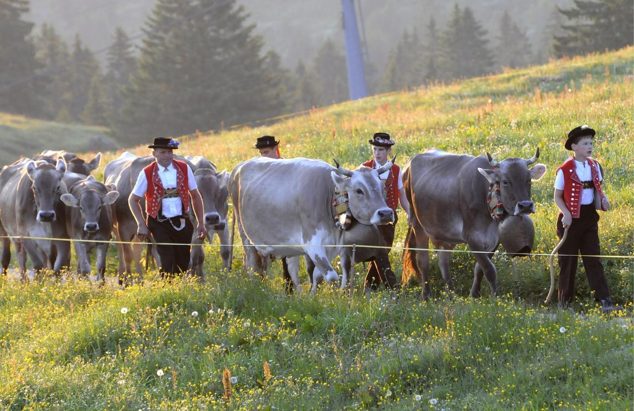 Une inalpe (montée à l'alpage) dans la région du Toggenburg (SG). [Keystone - Regina Kuehne]