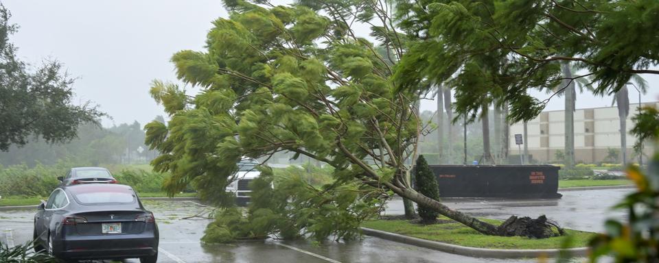 Les rafales de l'ouragan Ian commencent à abattre de petits arbres dans un parking d'hôtel à Sarasota, en Floride. [reuters - Steve Nesius]