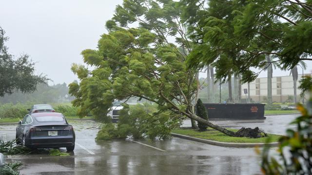 Les rafales de l'ouragan Ian commencent à abattre de petits arbres dans un parking d'hôtel à Sarasota, en Floride. [reuters - Steve Nesius]