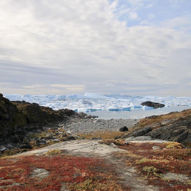 Une vue sur le fjord glacé d'Ilulissat, au Groenland. [RTS - Victorien Kissling]