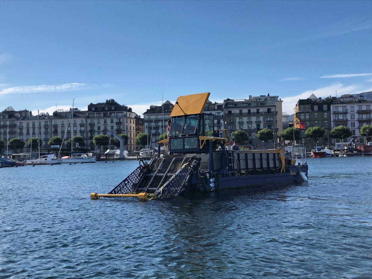 Une faucardeuse à l'oeuvre dans la rade de Genève. [RTS - Anouk Pernet]