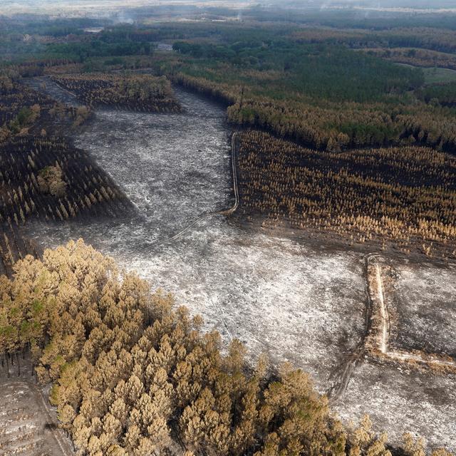 Vua aérienne de la forêt dévastée près de Landiras, en Gironde, 23.07.2022. [EPA/Keystone - Benoît tessier]