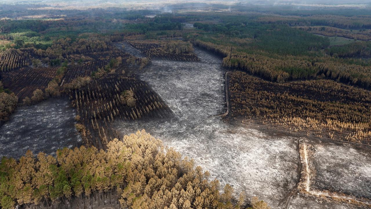 Vua aérienne de la forêt dévastée près de Landiras, en Gironde, 23.07.2022. [EPA/Keystone - Benoît tessier]