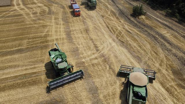 La Russie et l'Ukraine comptent parmi les plus gros exportateurs de céréales au monde. Ici, des moissonneuses dans le village de Tbilisskaya, en Russie, en juillet 2021. [AP Photo/Vitaly Timkiv]