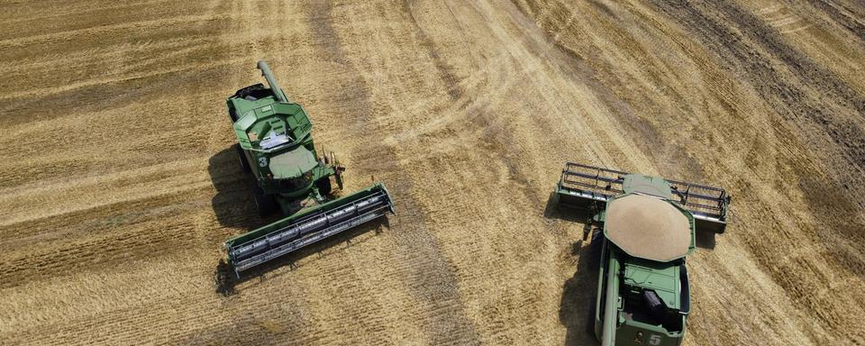 La Russie et l'Ukraine comptent parmi les plus gros exportateurs de céréales au monde. Ici, des moissonneuses dans le village de Tbilisskaya, en Russie, en juillet 2021. [AP Photo/Vitaly Timkiv]