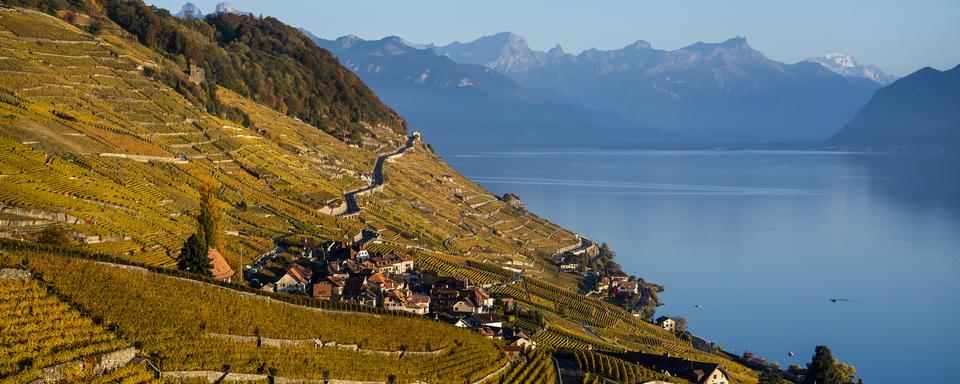 Un vue du Lavaux depuis Riex (VD). [Keystone - Jean-Christophe Bott]