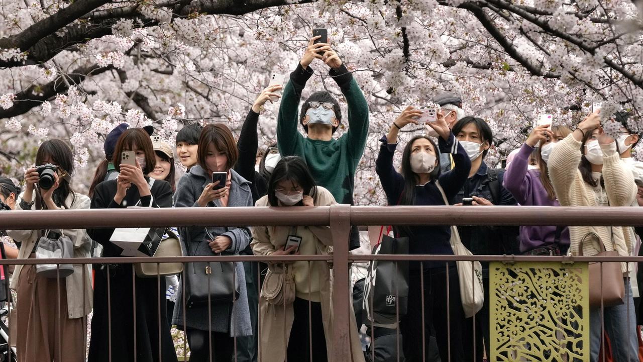 Après plus de deux ans, le Japon va rouvrir ses portes aux touristes étrangers. [KEYSTONE - KIMIMASA MAYAMA]