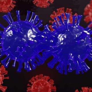 Représentation d'une mutation du virus SARS-CoV-2.
svetolkunova
Depositphotos [svetolkunova]