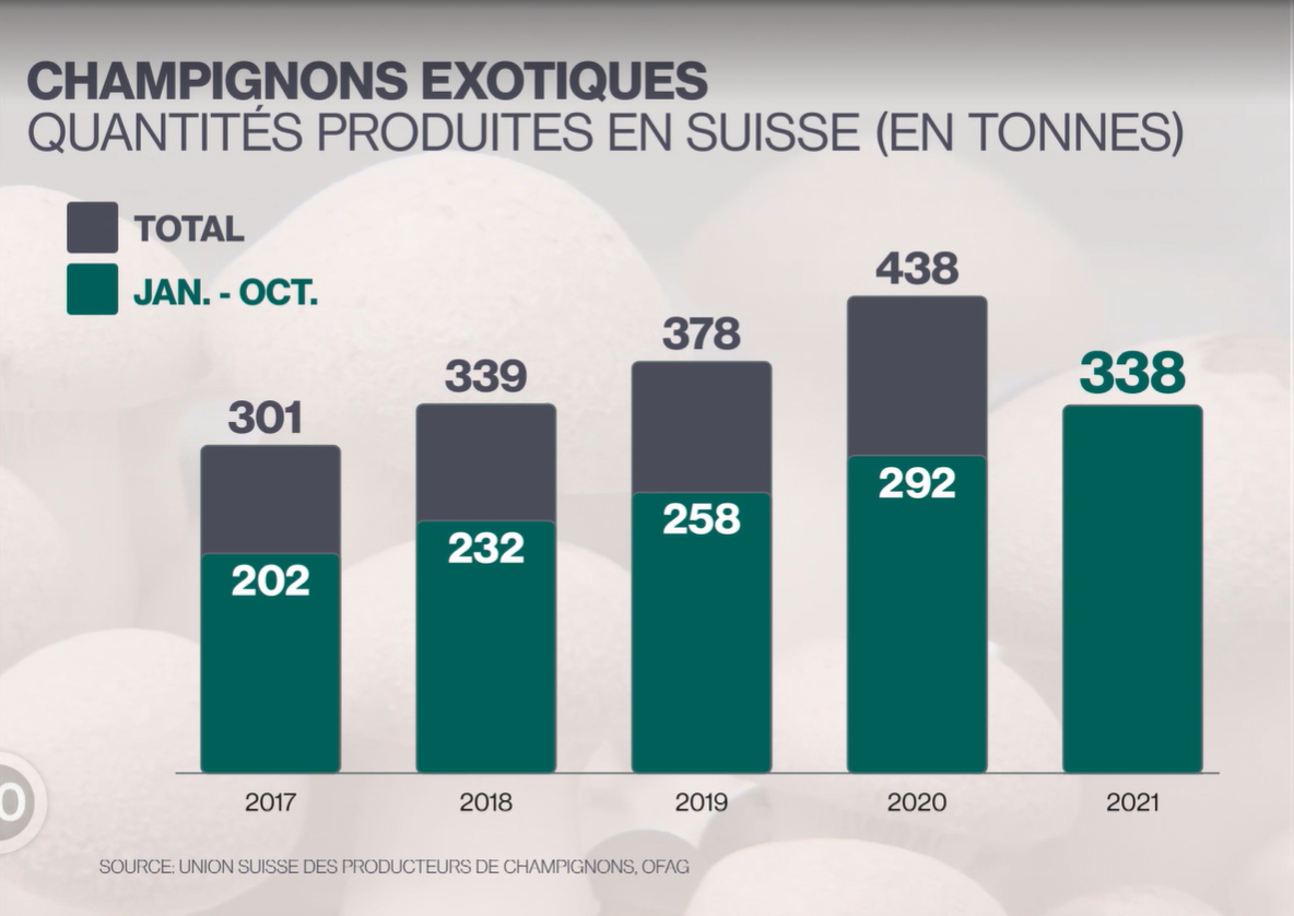 La production de champignons exotiques est en hausse en Suisse. [RTS - USPC/OFAG]
