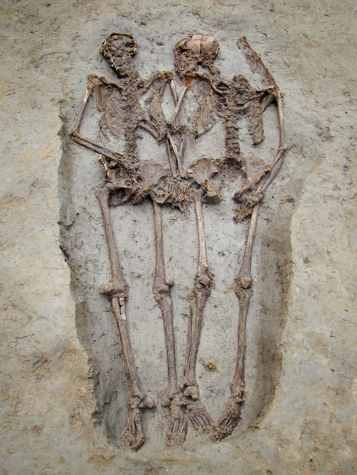 La sépulture antique tardive dite "Les amants de Modène", trouvée dans la viale Ciro Menotti, avec les deux défunts enterrés main dans la main. [wikimedia/ CC BY-SA 3.0 - Paolo Terzi - Archivio fotografico Museo Civico di Modena]