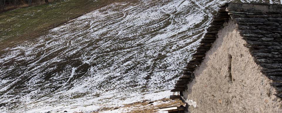 Le Tessin connait un hiver particulièrement sec et doux. [Keystone - Alessandro Crinari]