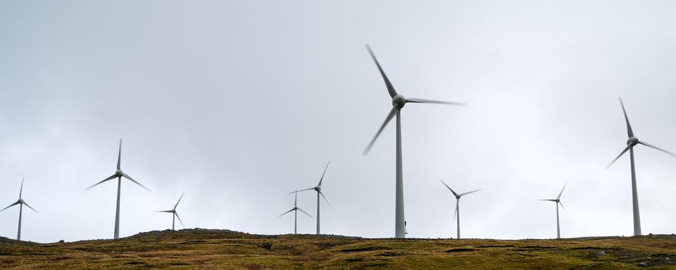 L'énergie éolienne représente 59,9 % de l'électricité produite au Danemark. [JONATHAN NACKSTRAND / AFP]