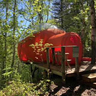 Les Perchés (9/12): un camping dans la canopée au Canada [Radio-Canada - Catherine Paradis]