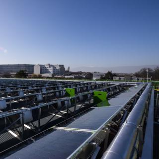 Centrale solaire thermique des SIG au Lignon, près de Genève. [Keystone - Jean-Christophe Bott]