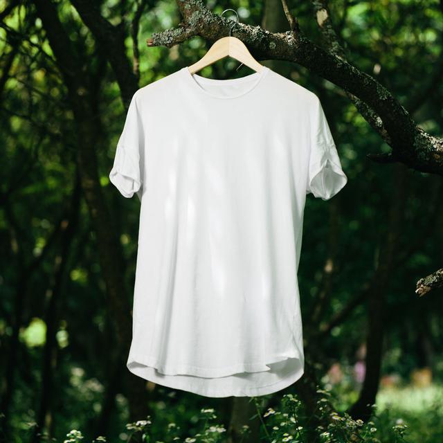 Un t-shirt blanc est suspendu à un arbre. [Depositphotos - 4masik]