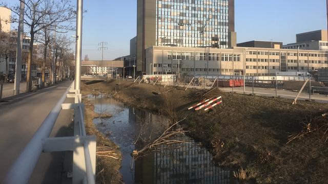 Les castors de Leutschenbach à Zurich. [RTS - Joëlle Cachin]