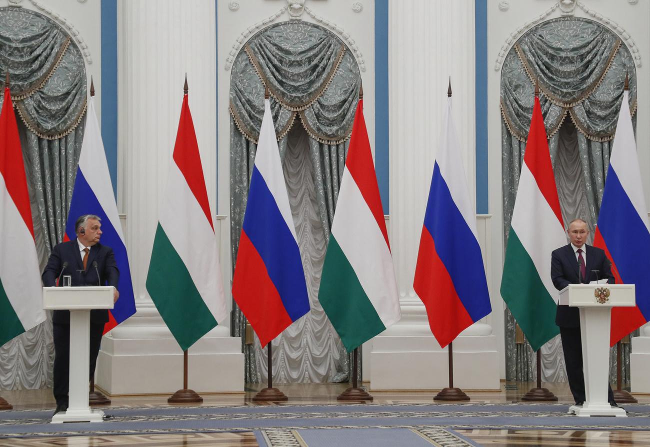 Le premier ministre hongrois Viktor Orban et le président russe Vladimir Poutine à Moscou, le 1er février 2022. [KEYSTONE - YURI KOCHETKOV]