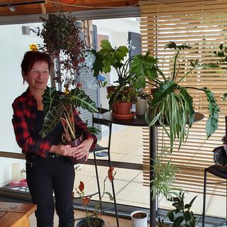 Anita bichonne les plantes d'appartement de son fils pendant son séjour à l'étranger. [RTS - X-Bloch]