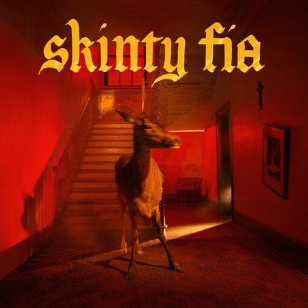 La pochette de l'album de Fontaines D.C. "Skinty Fia". [DR]