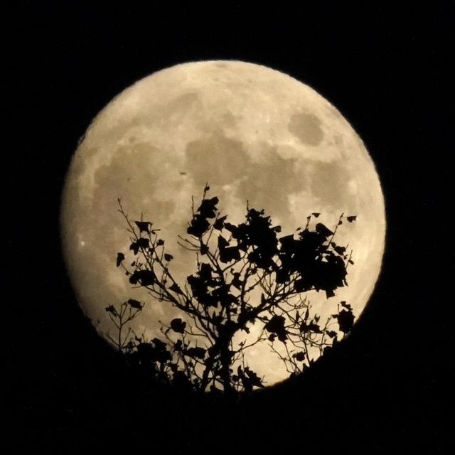 Une vue de la Lune depuis la Caroline du Nord en octobre 2021. [AP Photo/Keystone - Gerry Broome]