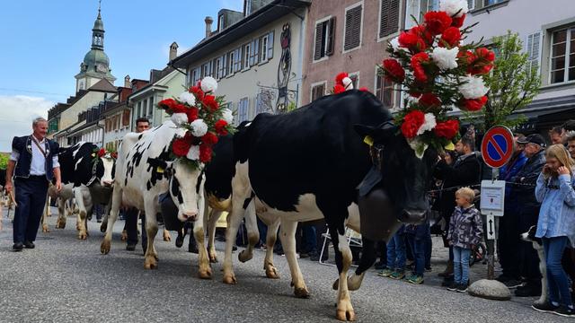 A Bulle (FR), la Société des armaillis de la Gruyère fête son 100e anniversaire. [RTS - VALENTIN JORDIL]