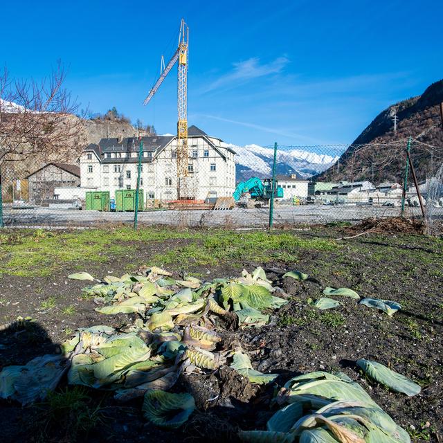 Le site de Chippis ou etait produit l'aluminium, et des zones jardin qui devront etre traitees, photographies ce mardi 23 janvier 2018. La pollution du sol dans des zones d'habitation de Chippis et de Sierre (VS) en raison de l'activite d'electrolyse d'Alusuisse est confirmee. Mais seuls trois echantillons presentent des valeurs superieures aux normes. Les couts seront pris en charge par Metallwerke Refonda SA (filiale de Rio Tinto), successeur d'Alusuisse. [Keystone - Olivier Maire]