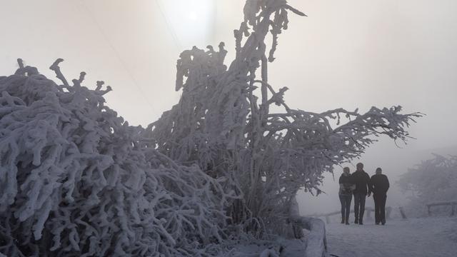 Des arbres givrés et enneigés se dressent par des températures glaciales sur le plateau du sommet du Grosser Feldberg dans le massif du Taunus, en Allemagne (image d'illustration). [KEYSTONE - Frank Rumpenhorst / DPA]