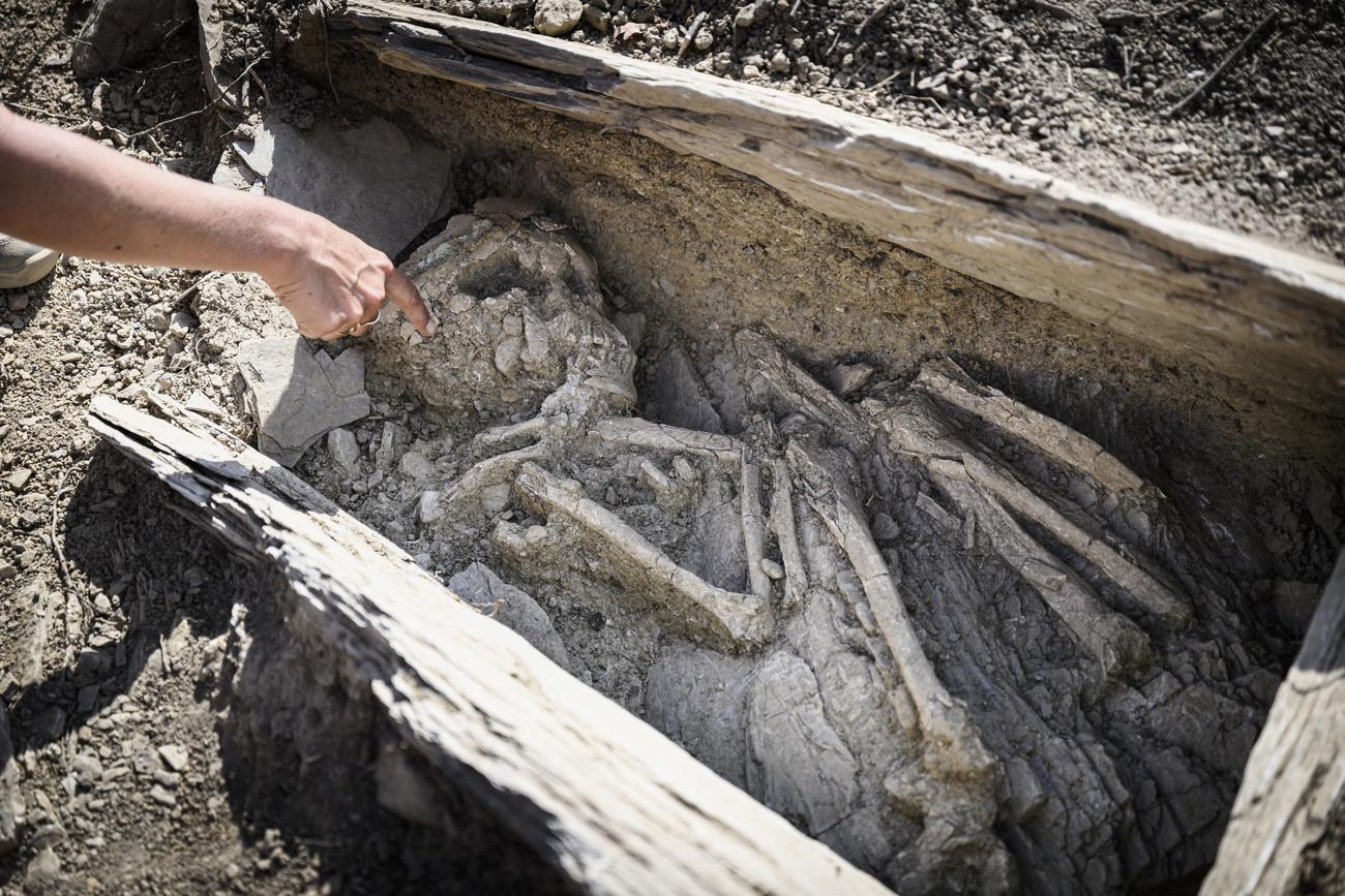 L'étude de ce site démontre notamment que la tradition de l'inhumation en ciste a perduré jusqu'au début du IIe millénaire av. J.-C. [KEYSTONE - GABRIEL MONNET]