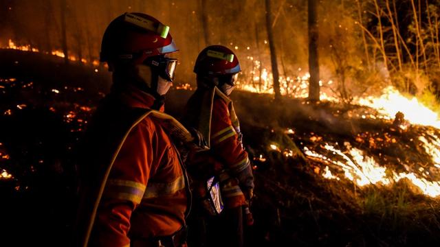 Le grand incendie qui a déjà brûlé plus de 600 hectares de végétation depuis jeudi soir dans le nord du Gard "est toujours actif" vendredi matin [afp - Sylvain Thomas]